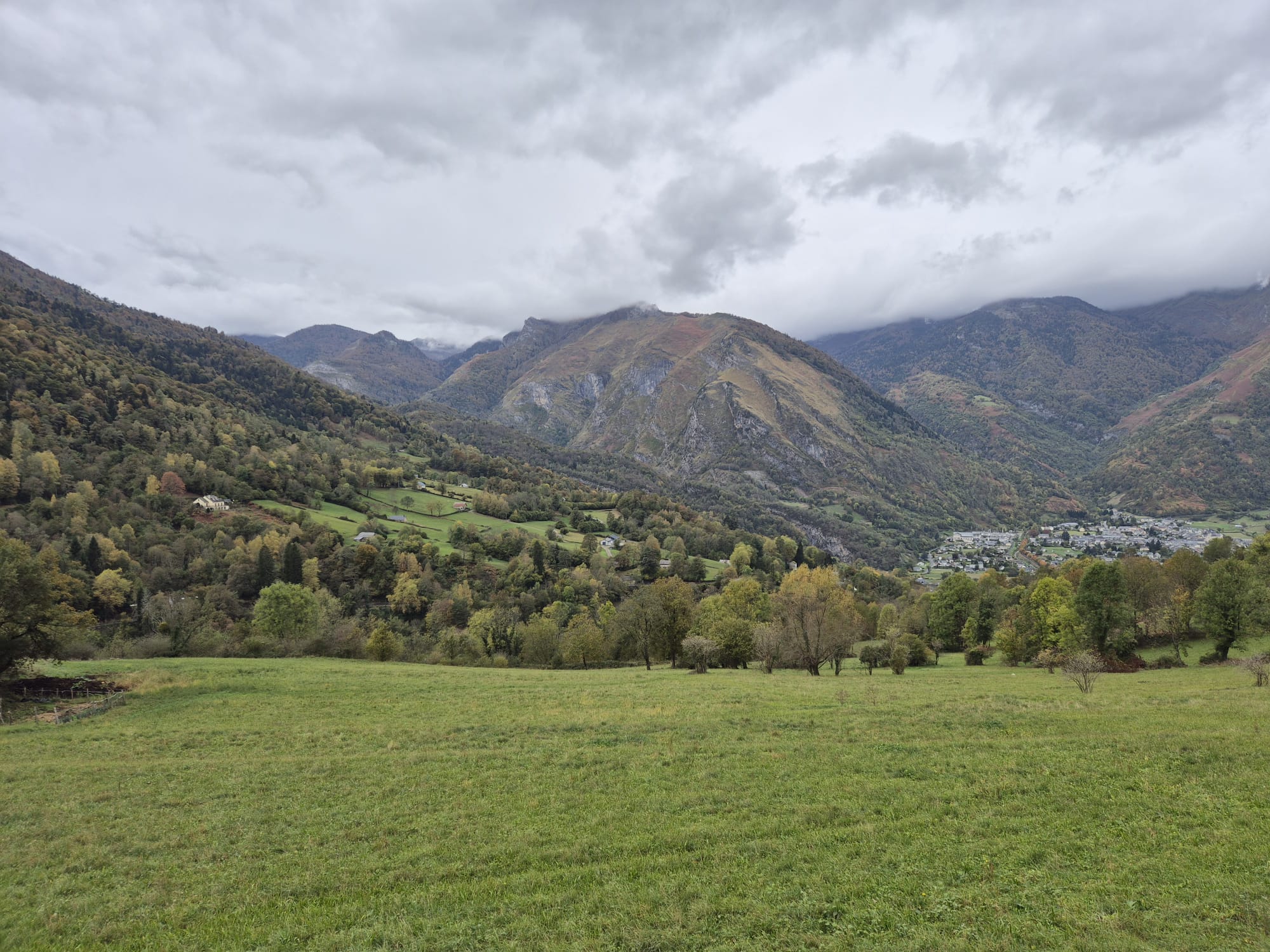 WhatsApp Image 2025-1-25 at 15.47.30