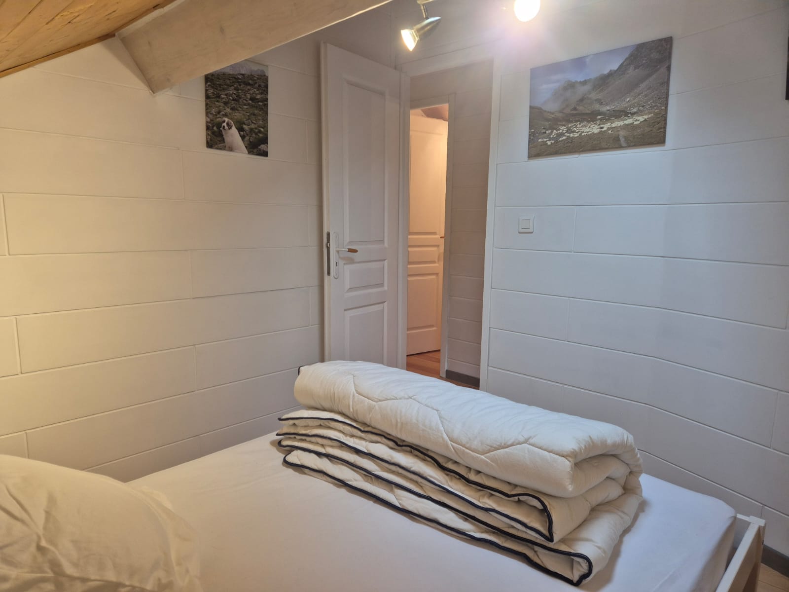 WhatsApp Image 2026-01-16 at 16.02.33