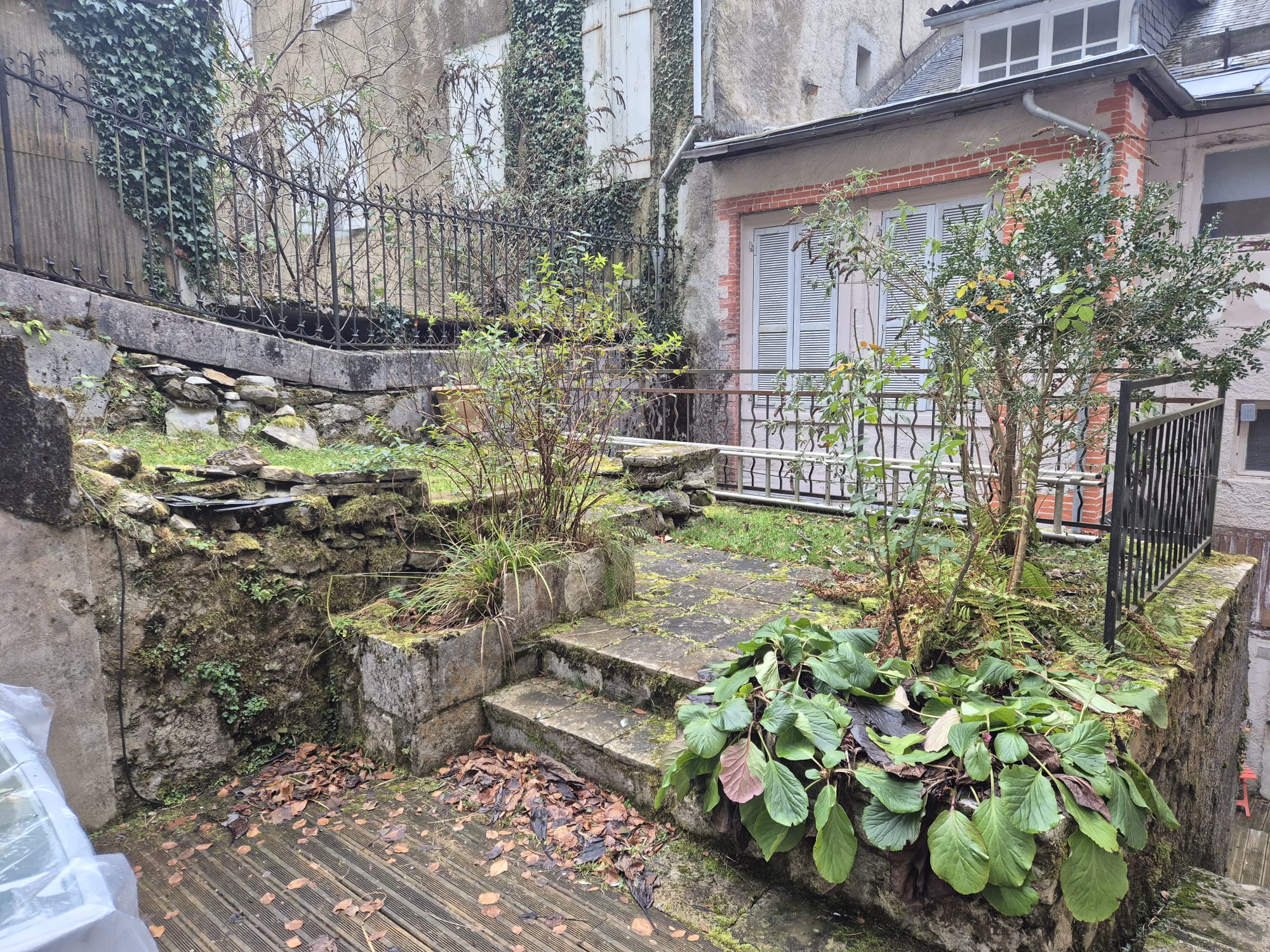 WhatsApp Image 2026-01-25 at 17.52.54 (1)