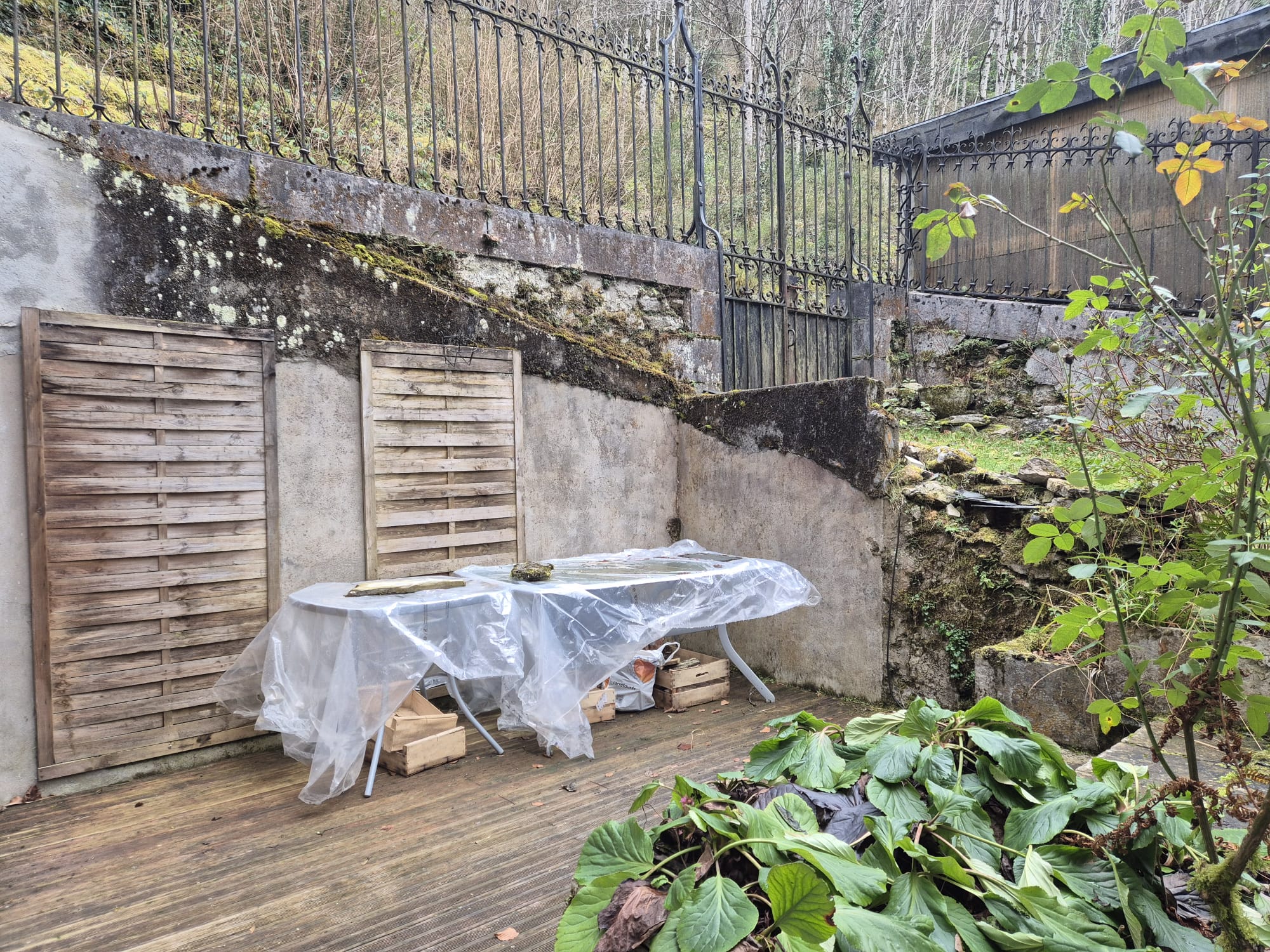 WhatsApp Image 2026-01-25 at 17.52.54